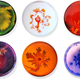 Illustration for article titled Dont Be Grossed Out, the Bacteria on These Petri Dish Plates Is Art